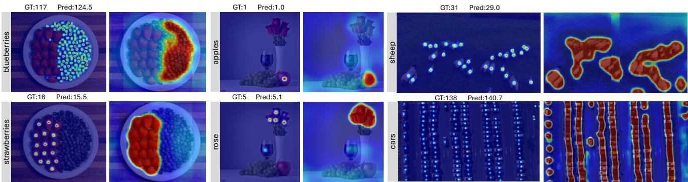 Qualitative results showing density maps and similarity maps.