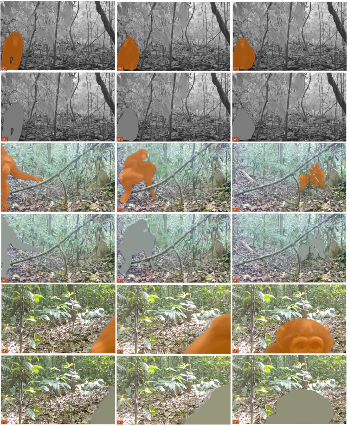 Figure 5. Synthetic Background Video Examples. Three example video clips with the original segmentation mask generated by one-shot prompting of SAM2.