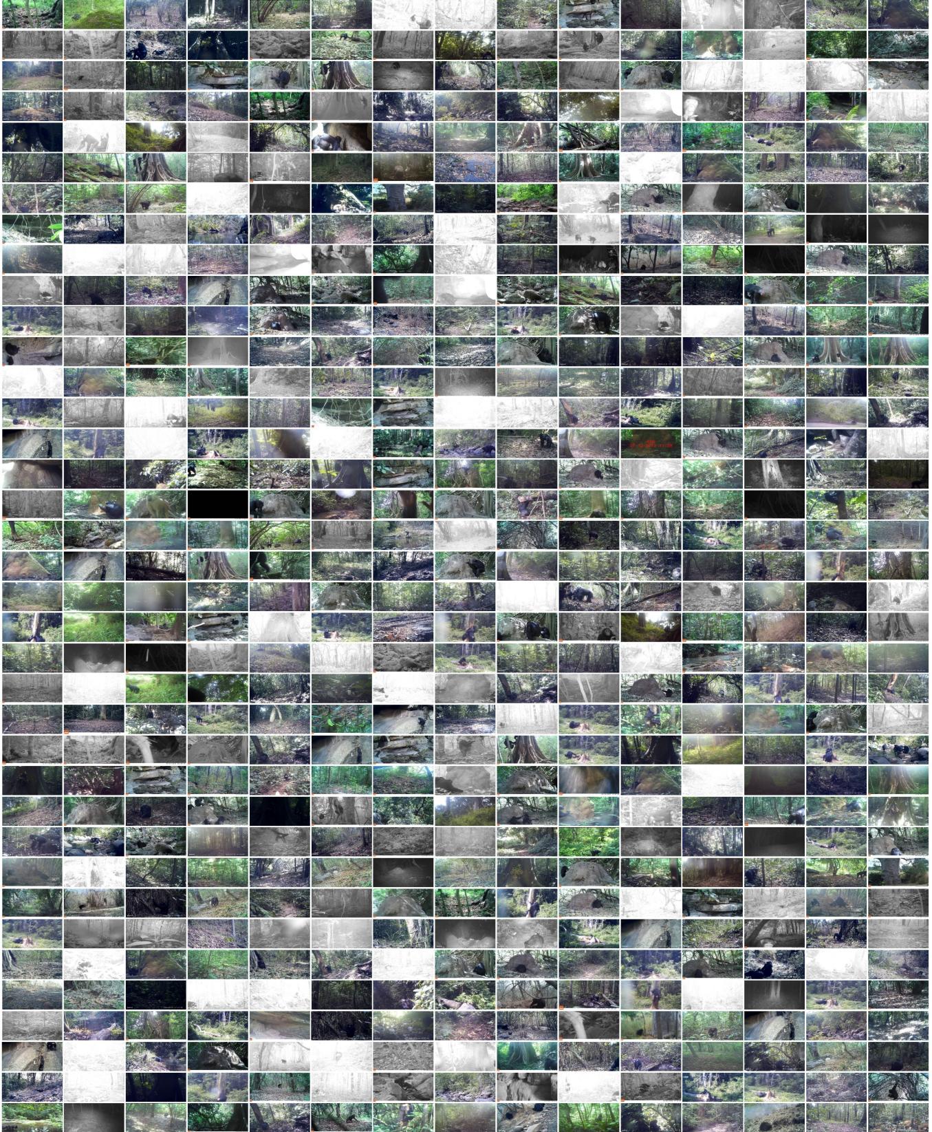 Figure 7. Dataset Overview. A small fraction (~0.05%) of the 1.8 million frames in the dataset are shown, highlighting its diversity.