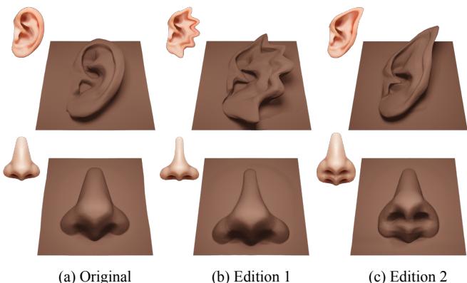Figure 8. Customizing VDMs by editing images.