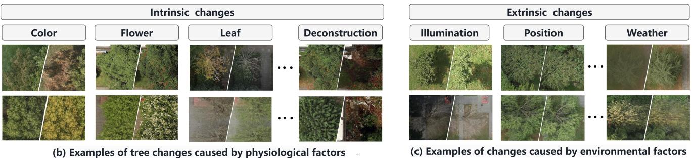 Figure 1. The proposed UAVTC is a dataset for long-term, precise tree monitoring. It highlights the difference between intrinsic and extrinsic changes.