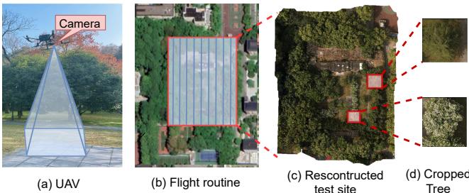 Figure 2. The illustration of the data collection process showing the UAV, flight path, and reconstructed orthophoto.