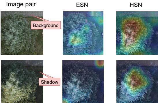 Figure 6. Grad-CAM visualizations. HSN ignores shadows and background better than ESN.