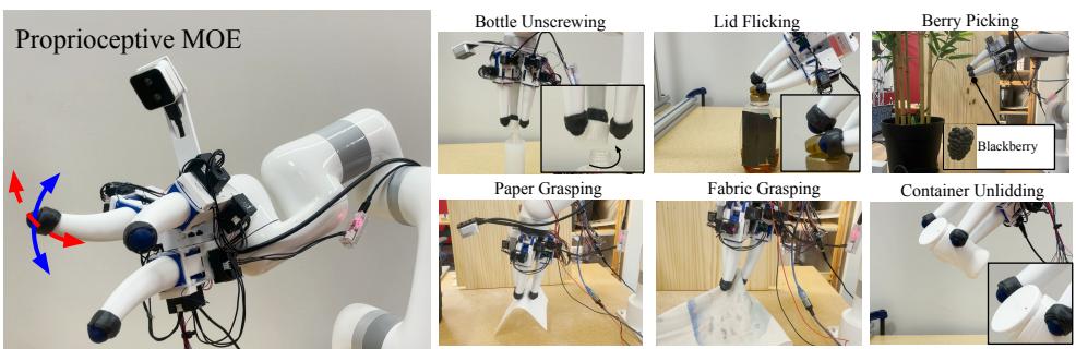 Figure 4: The six evaluation tasks: Bottle Unscrewing, Lid Flicking, Berry Picking, Paper Grasping, Fabric Pickup, and Container Unlidding.
