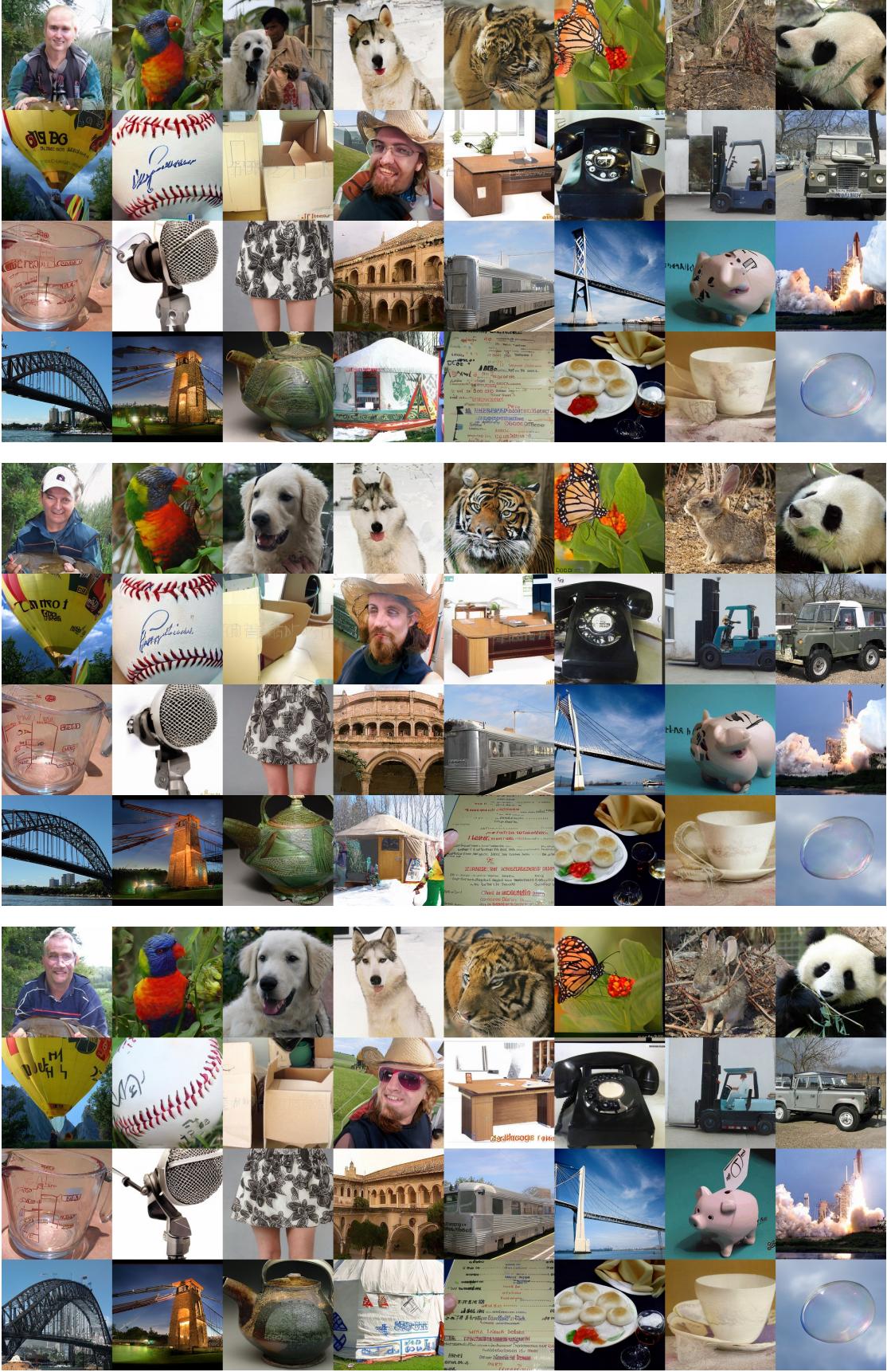 Guidance-free samples by pretrained VAR-d30.