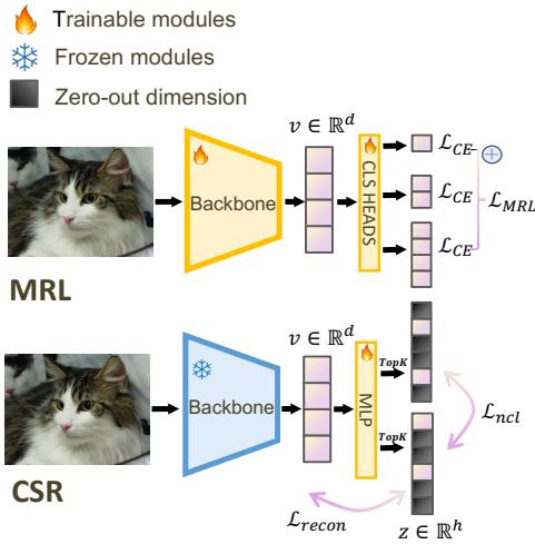 Figure 2. Overview of our proposed CSR framework.