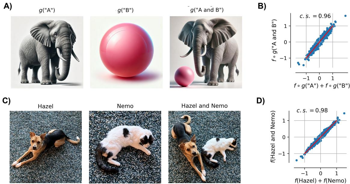 组合概念的神经表征叠加。图 A–D 显示，“大象”的表征加上“粉色小球”的表征近似于“一只大象和一个粉色小球”的表征。对猫和狗的真实图像也出现了类似结果。