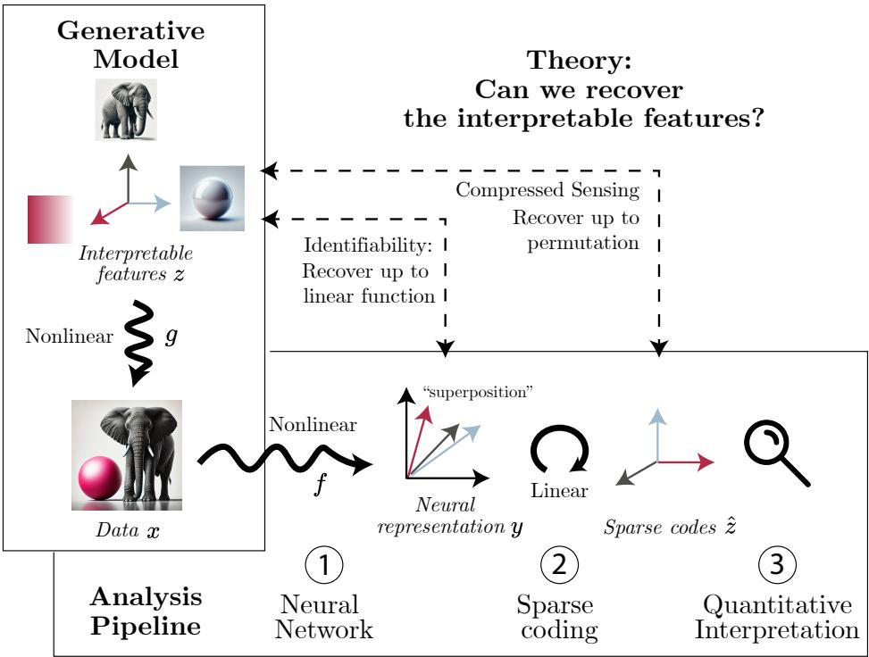 连接生成模型、神经表征、稀疏编码和定量评估的示意流程图。该理论预测，可解释特征可在置换不变意义上被恢复。