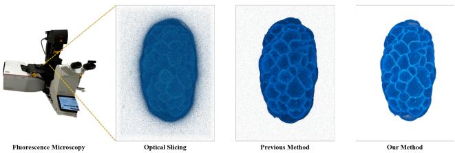 Fig. S3. The 3D qualitative comparisons on fluorescence images of original images, previous method result and our method output.