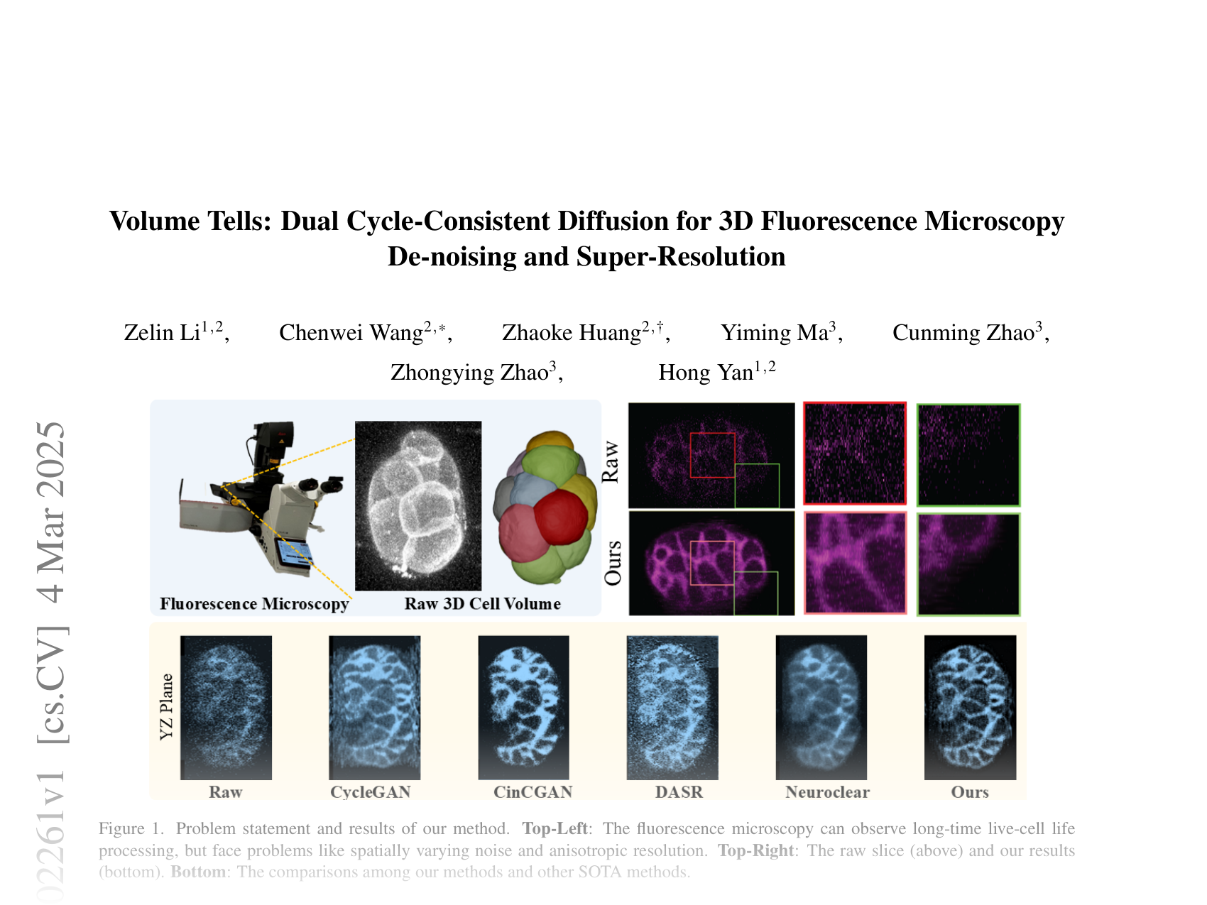 [Volume Tells: Dual Cycle-Consistent Diffusion for 3D Fluorescence Microscopy De-noising and Super-Resolution 🔗](https://arxiv.org/abs/2503.02261)