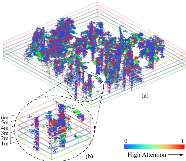Figure 1 showing the complexity of forest point clouds and attention maps.