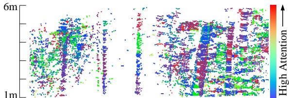 Front-view visualization of projected patch-level attention.