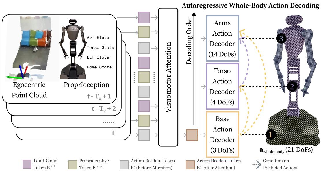 WB-VIMA 架构。它利用具身空间内的层级依赖关系自回归地解码全身动作，并利用自注意力机制动态聚合多模态观测数据。