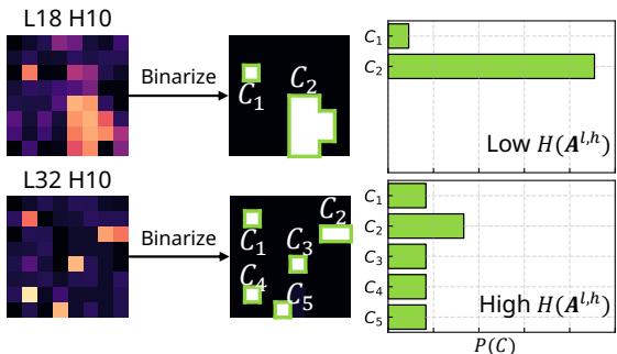 Illustration of the process for calculating spatial entropy.