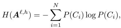 Spatial Entropy Equation