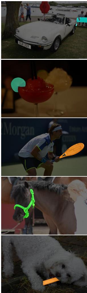 Qualitative results of Reasoning Segmentation.