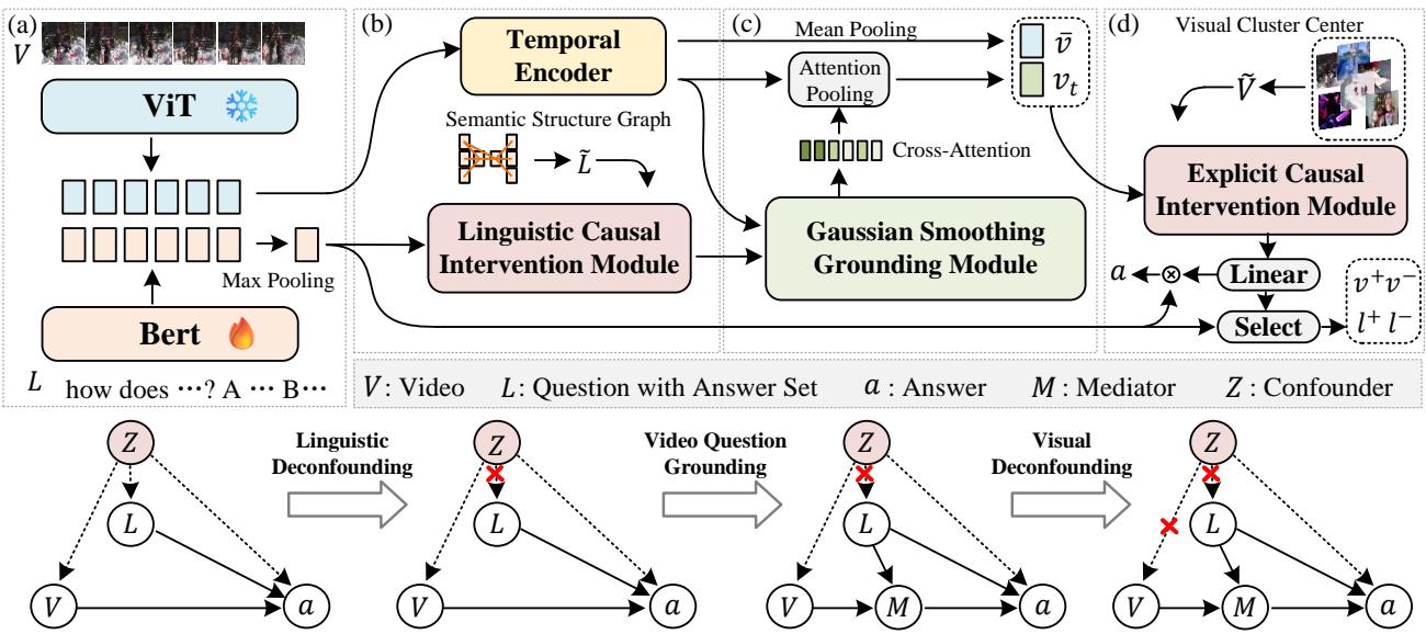 Figure 2. An overview of our CRA framework, and the above shows our proposed SCM in CRA. (a) It extracts video and linguistics features separately. (b) A Temporal Encoder is used to fuse temporal information and the Linguistics Causal Intervention Module mitigates the bias from the QA feature using the semantic structure graphs as confounders. (c) Our Gaussian Smoothing Attention Grounding module estimates the cross-modal attention to refine the video feature&mldr; (d) Explicit Causal Intervention Module.