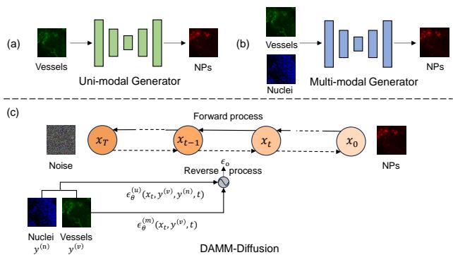 Figure 1. The illustration of different NPs distribution prediction methods. (a) The Uni-modal method predicts the distribution of NPs by vessels. (b) The multi-modal method predicts the distribution of NPs by the combination of vessels and nuclei. (c) Our DAMM-Diffusion considers both uni-modal and multi-modal branches for NPs distribution prediction by considering the divergence among nuclei and vessels channels.