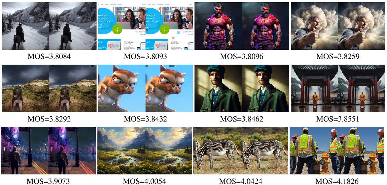 Figure 11. Example of high-quality images for machine preference.