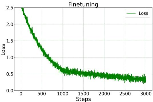 Figure 4: Finetuning - Loss per Steps.
