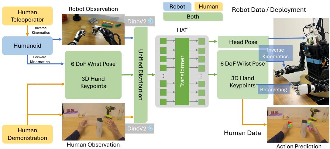 A diagram of the HAT architecture showing Human and Robot data inputs converging into a unified distribution processed by the transformer.