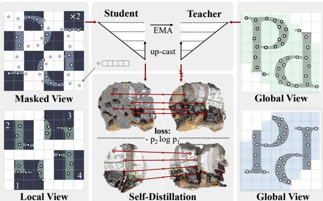 The self-distillation framework of Sonata.