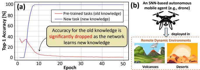 灾难性遗忘与目标应用。