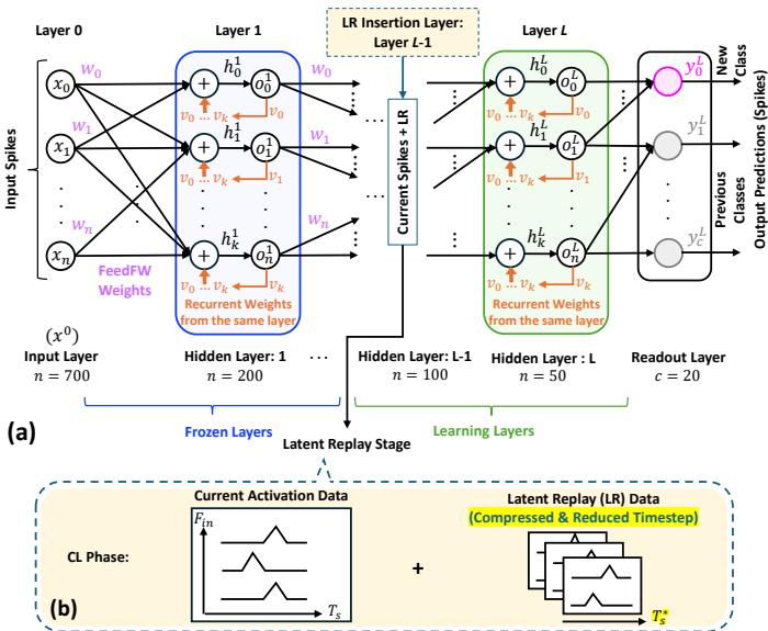 用于持续学习的 SNN 架构与潜在回放。