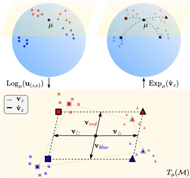 Figure 2: The Decomposition Method. (Top-Left) Concepts exist on a manifold sphere. (Bottom) They are mapped to a flat tangent space where vector means are computed. (Top-Right) The resulting vectors are mapped back to the manifold.