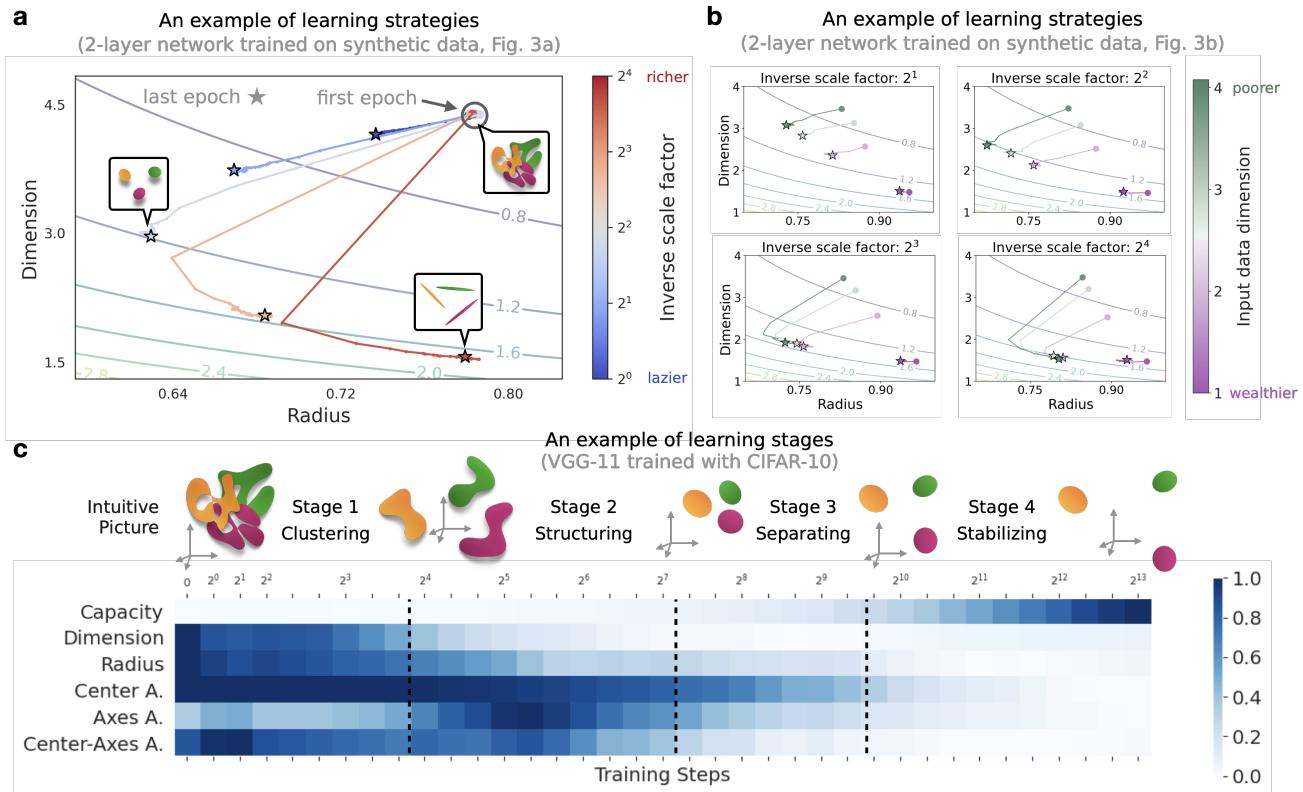 Visualization of learning strategies and stages. Panel A and B show contour plots of Radius vs Dimension. Panel C shows the normalized dynamics of VGG-11 on CIFAR-10, revealing distinct phases of geometric evolution.