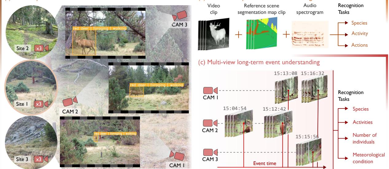 Overview of MammAlps. (a) Setup in the Swiss National Park. (b) Multimodal recognition inputs. (c) Long-term event understanding.