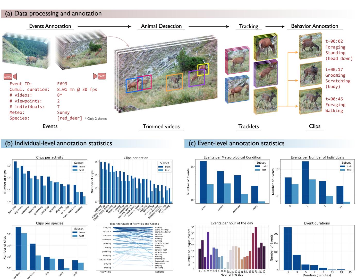 The data processing pipeline. (a) From raw video to annotated tracklets. (b) Individual-level stats. (c) Event-level stats.