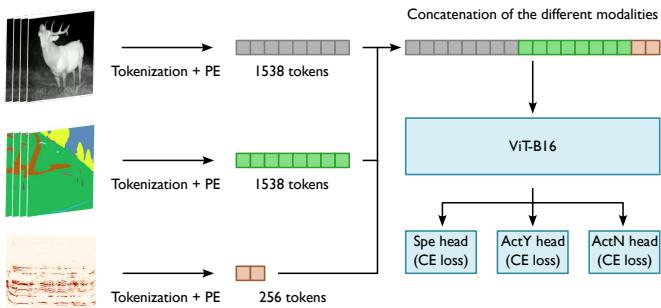 Implementation of the Multimodal Video Transformer.