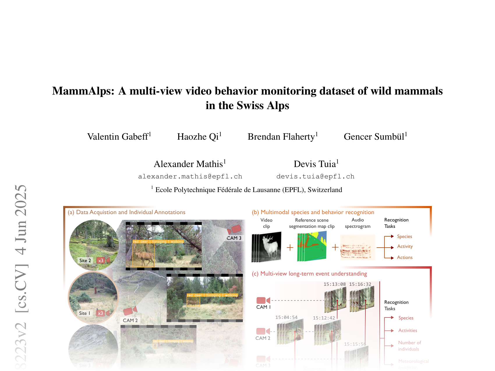 [MammAlps: A multi-view video behavior monitoring dataset of wild mammals in the Swiss Alps 🔗](https://arxiv.org/abs/2503.18223)