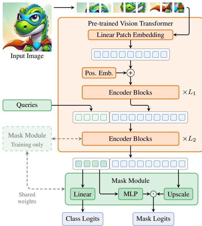 Figure 2. EoMT architecture. Learnable queries are concatenated to the patch tokens after the first L1 ViT encoder blocks.