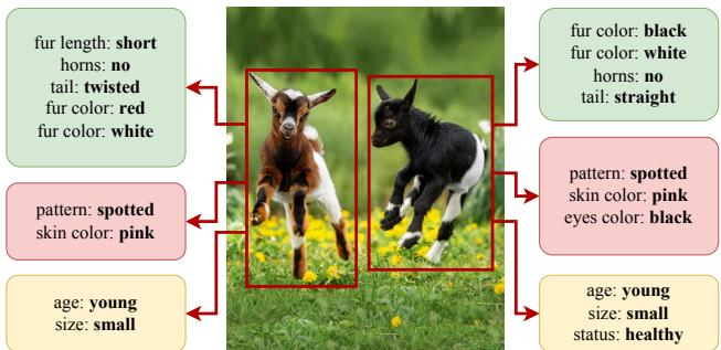 Figure 1. Example of attribute annotations.