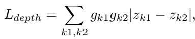 Depth regularization equation.