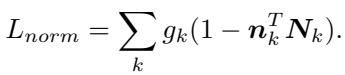 Normal constraint equation.