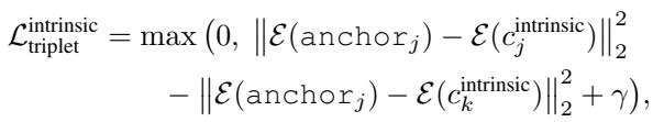 Equation 12. Intrinsic triplet loss.