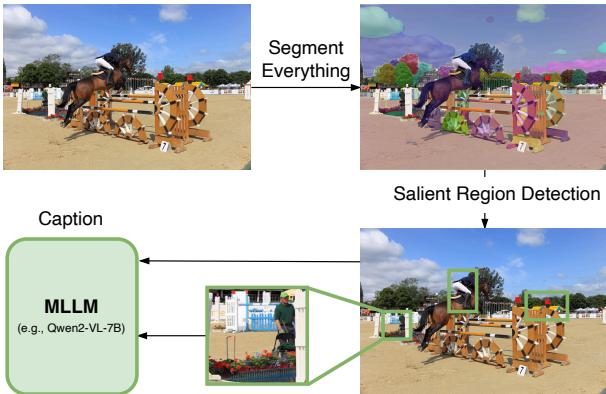 The data curation pipeline. An image is segmented, salient regions are detected, and an MLLM generates captions for those specific crops.