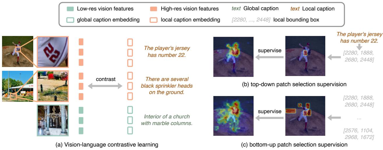 Pre-training algorithm. (a) Contrastive learning between local features and captions. (b) & (c) Supervision for Top-down and Bottom-up patch selection.
