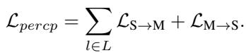 Equation for Perceptual Loss