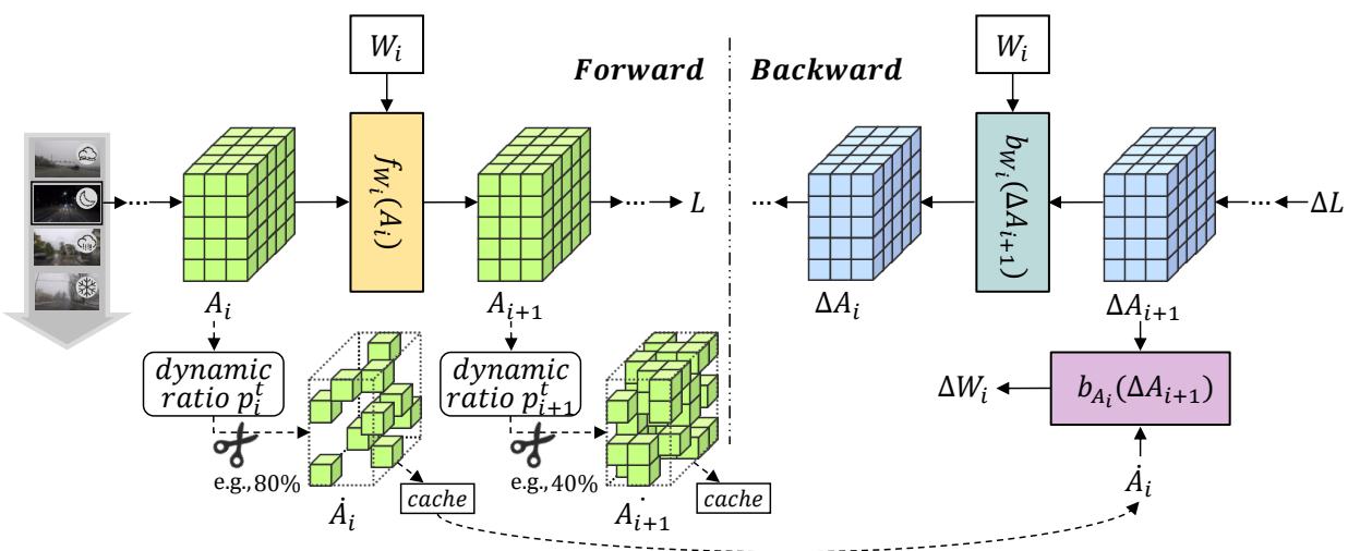 Figure 2 showing the forward and backward propagation with pruning.