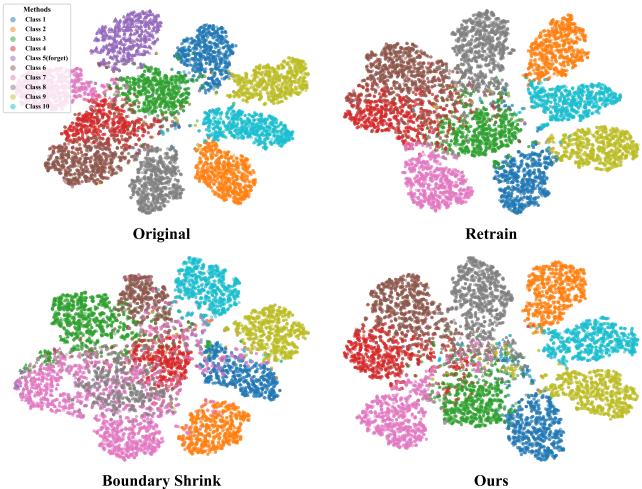 t-SNE visualization of feature representations.