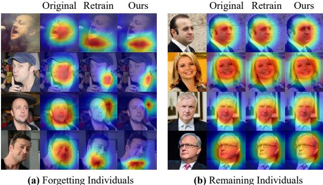 Grad-CAM visualization on Face Recognition.