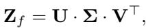 Singular Value Decomposition equation.