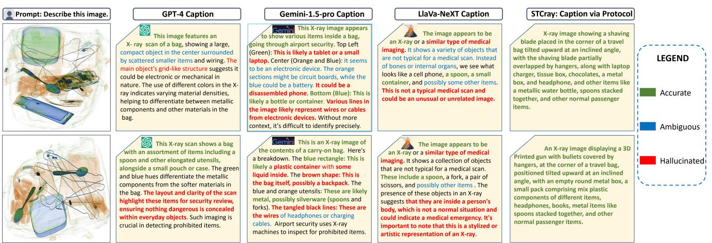 Comparison of AI models interpreting X-ray scans.