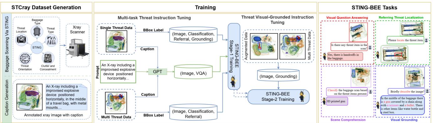 STING-BEE Training Pipeline.