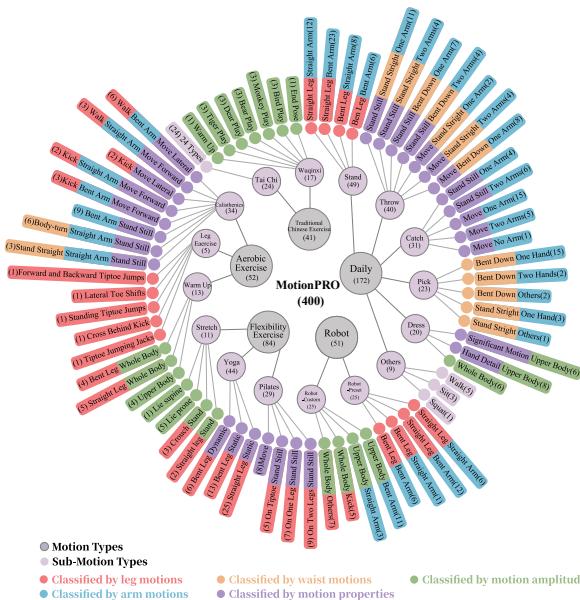 Hierarchical distribution of 400 motion types in MotionPRO.