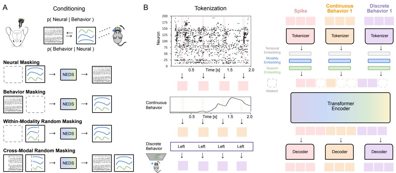 Figure 1. Schematic illustration of NEDS. Panel A shows the concept of conditioning and the four masking strategies. Panel B shows the Transformer architecture with modality-specific tokenizers.